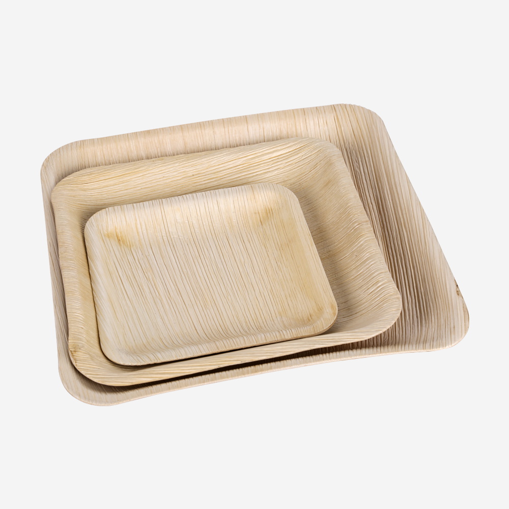 Square Plates Compostable and Biodegradable