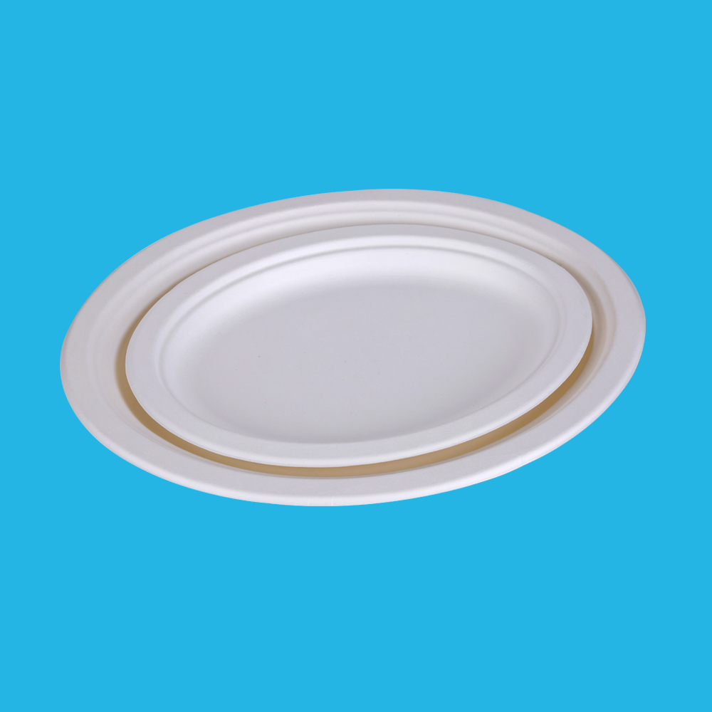 Oval Plate 